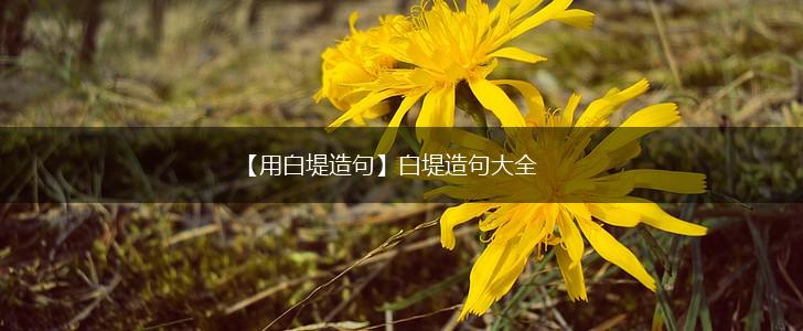 【用白堤造句】白堤造句大全,第1张