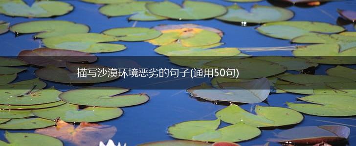 描写沙漠环境恶劣的句子(通用50句),第1张