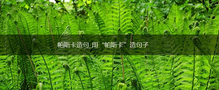 帕斯卡造句_用“帕斯卡”造句子,第1张