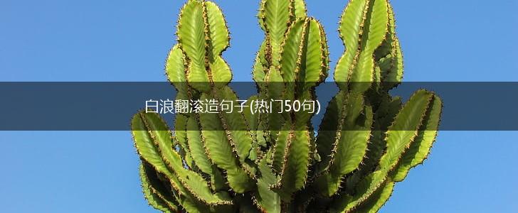 白浪翻滚造句子(热门50句),第1张