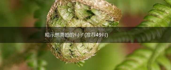 暗示想离婚的句子(推荐49句),第1张