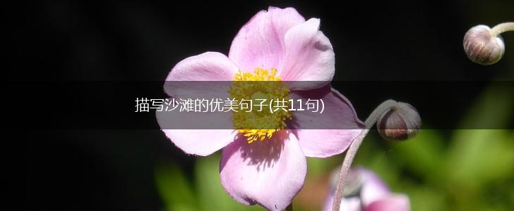 描写沙滩的优美句子(共11句),第1张