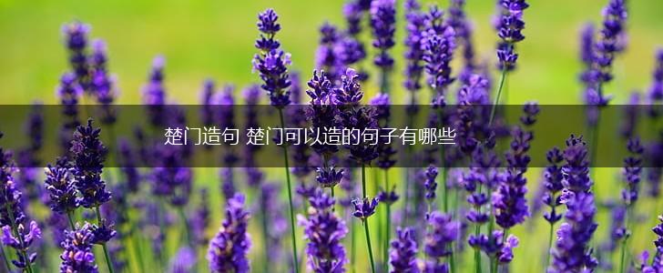楚门造句 楚门可以造的句子有哪些,第1张