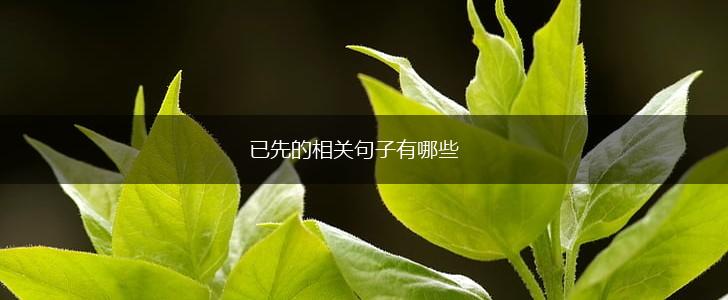 已先的相关句子有哪些,第1张