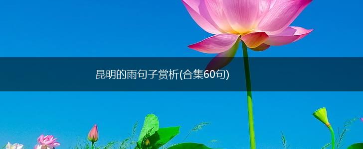 昆明的雨句子赏析(合集60句),第1张