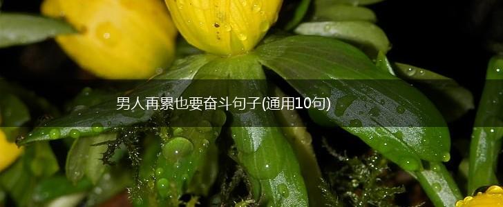 男人再累也要奋斗句子(通用10句),第1张