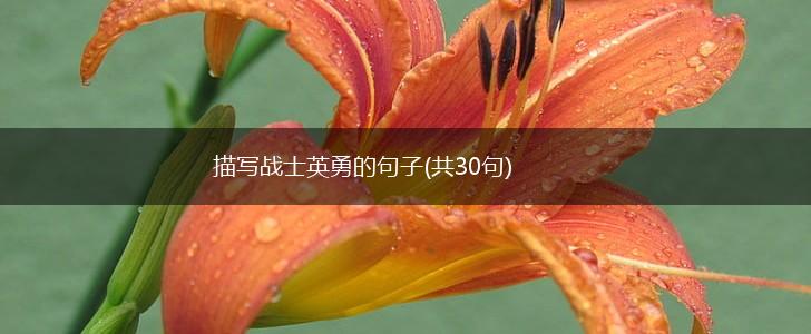 描写战士英勇的句子(共30句),第1张