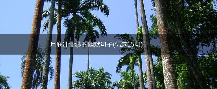 月底冲业绩的幽默句子(优选15句),第1张