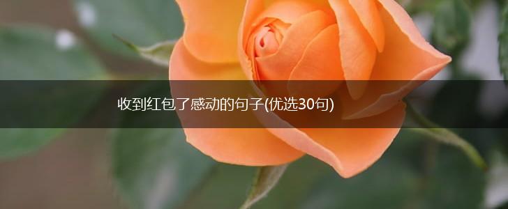 收到红包了感动的句子(优选30句),第1张