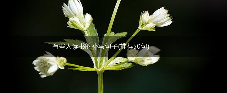 有些人读书的补写句子(推荐50句),第1张