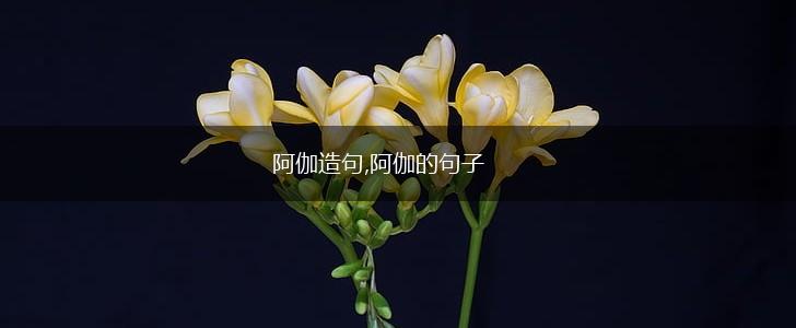 阿伽造句,阿伽的句子,第1张
