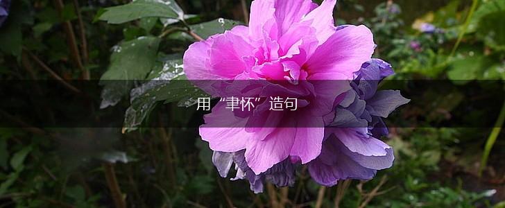 用“聿怀”造句,第1张