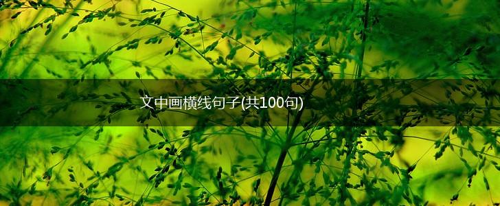 文中画横线句子(共100句),第1张