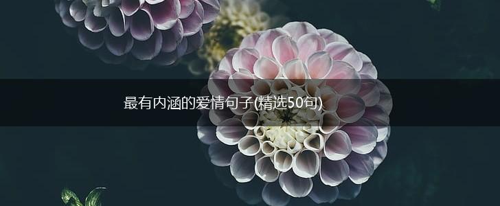 最有内涵的爱情句子(精选50句),第1张