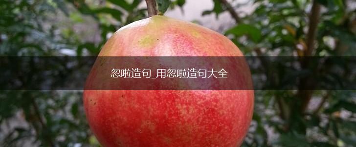 忽啦造句_用忽啦造句大全,第1张