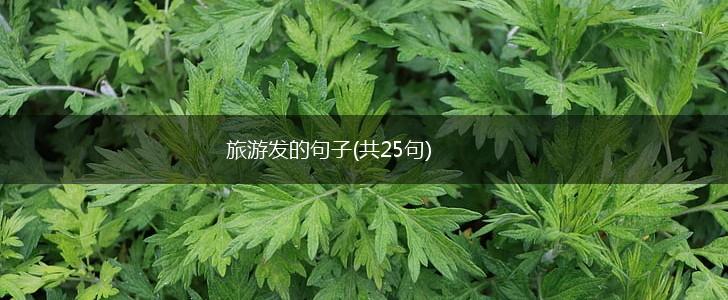 旅游发的句子(共25句),第1张