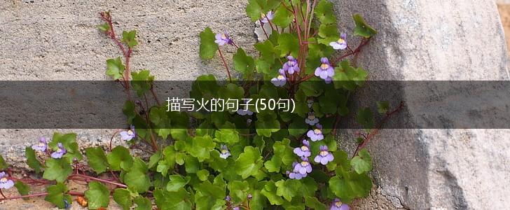 描写火的句子(50句),第1张