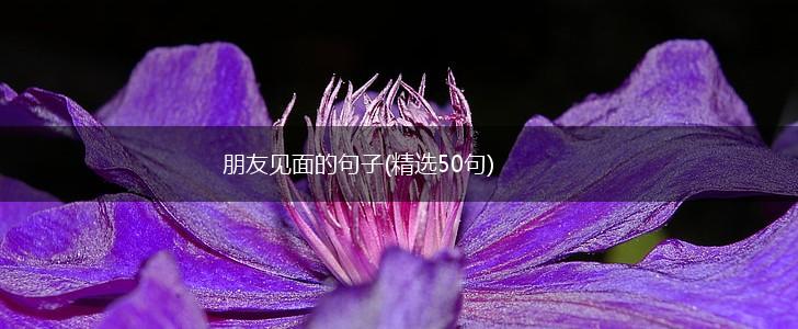 朋友见面的句子(精选50句),第1张