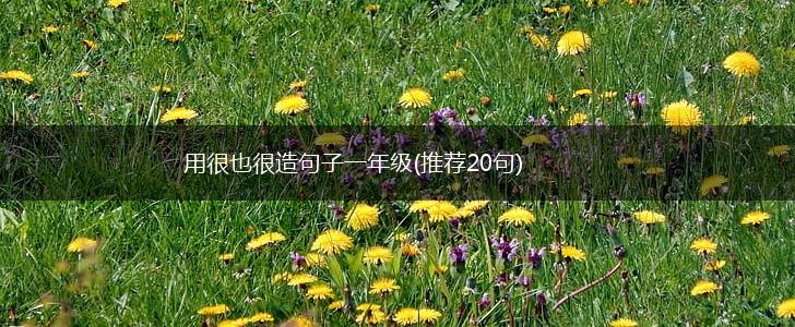 用很也很造句子一年级(推荐20句),第1张