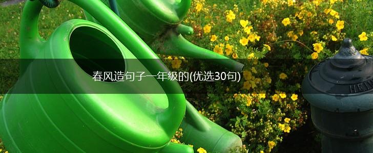 春风造句子一年级的(优选30句),第1张