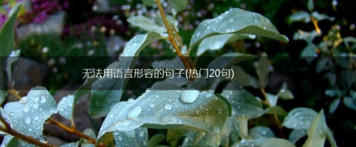 无法用语言形容的句子(热门20句),第1张