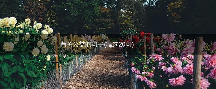 有关公益的句子(精选20句),第1张