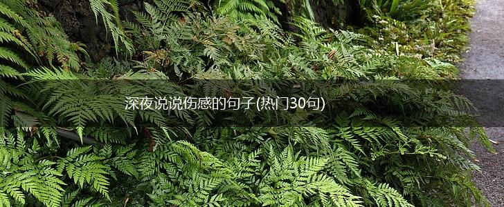 深夜说说伤感的句子(热门30句),第1张