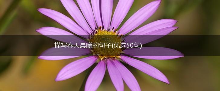 描写春天晨曦的句子(优选50句),第1张