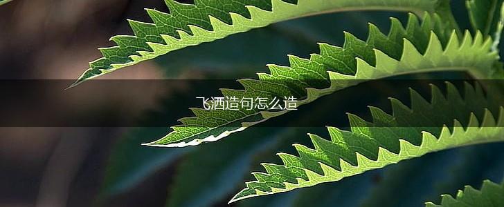 飞洒造句怎么造,第1张