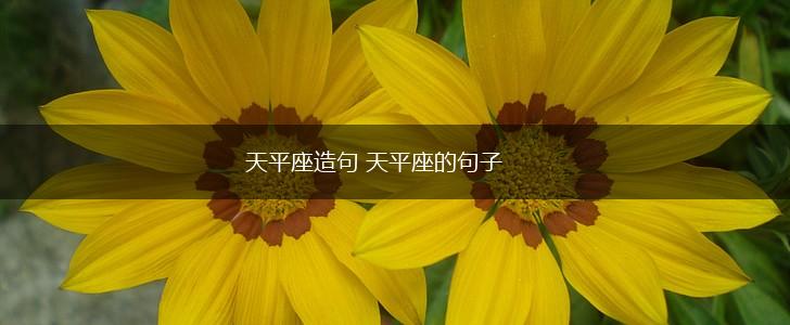 天平座造句 天平座的句子,第1张