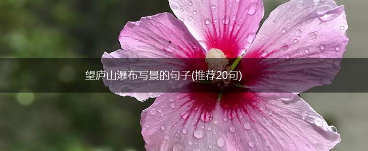 望庐山瀑布写景的句子(推荐20句),第1张