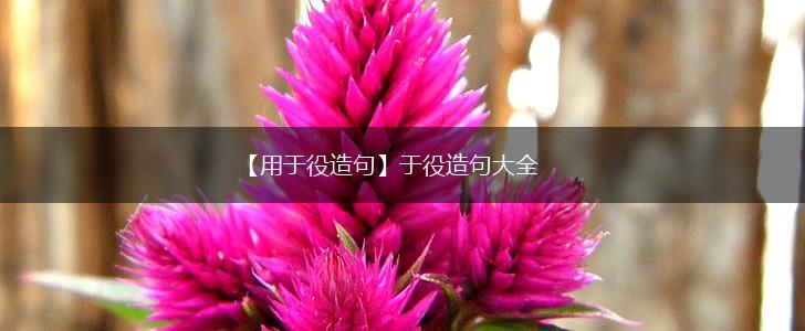 【用于役造句】于役造句大全,第1张