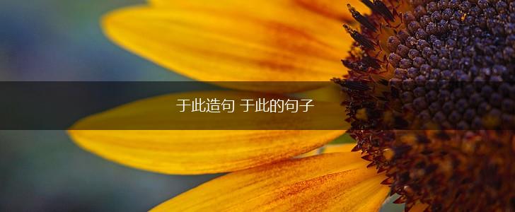 于此造句 于此的句子,第1张