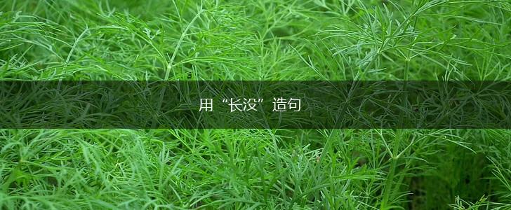 用“长没”造句,第1张