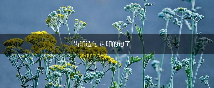 齿印造句 齿印的句子,第1张