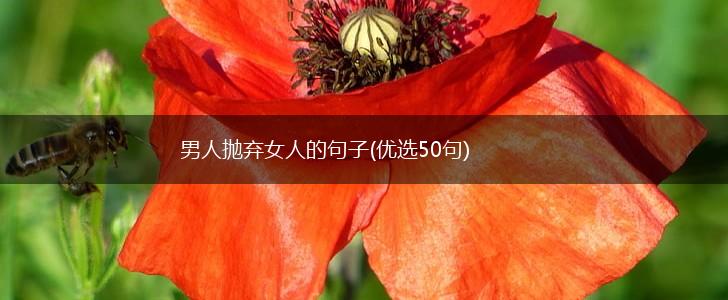 男人抛弃女人的句子(优选50句),第1张