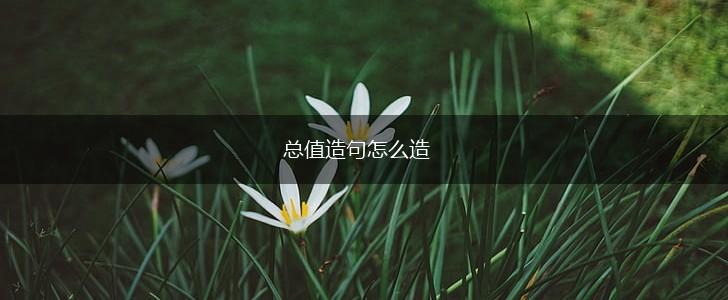 总值造句怎么造,第1张