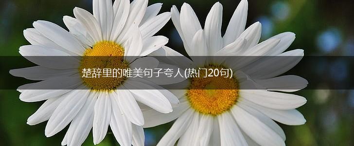 楚辞里的唯美句子夸人(热门20句),第1张