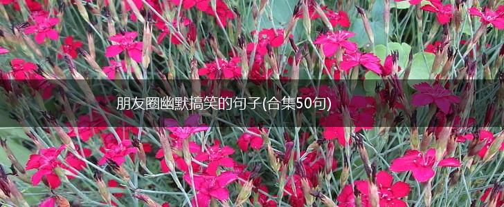 朋友圈幽默搞笑的句子(合集50句),第1张