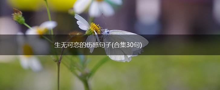 生无可恋的伤感句子(合集30句),第1张
