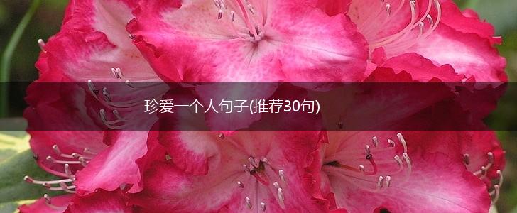 珍爱一个人句子(推荐30句),第1张
