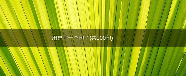 用是写一个句子(共100句),第1张