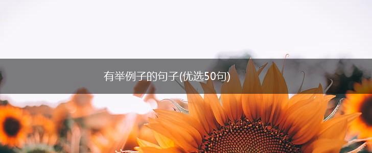 有举例子的句子(优选50句),第1张
