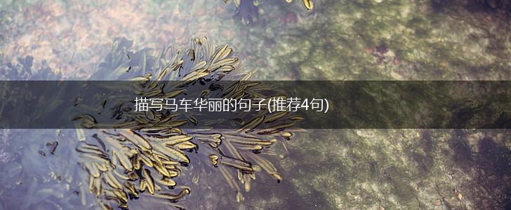 描写马车华丽的句子(推荐4句),第1张