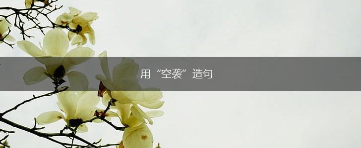 用“空袭”造句,第1张