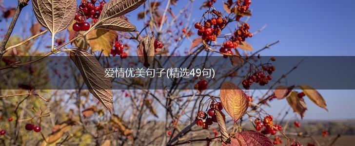 爱情优美句子(精选49句),第1张