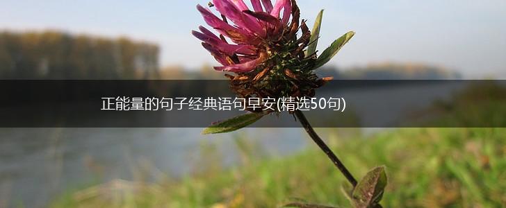 正能量的句子经典语句早安(精选50句),第1张