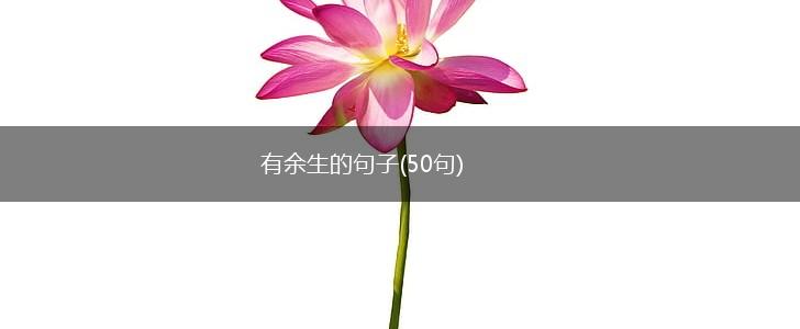 有余生的句子(50句),第1张