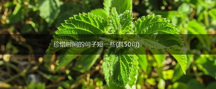 珍惜时间的句子短一些(共50句),第1张