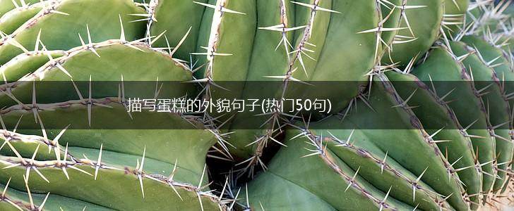 描写蛋糕的外貌句子(热门50句),第1张